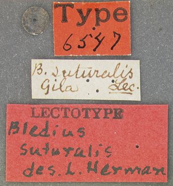 Media type: image;   Entomology 6547 Aspect: labels
